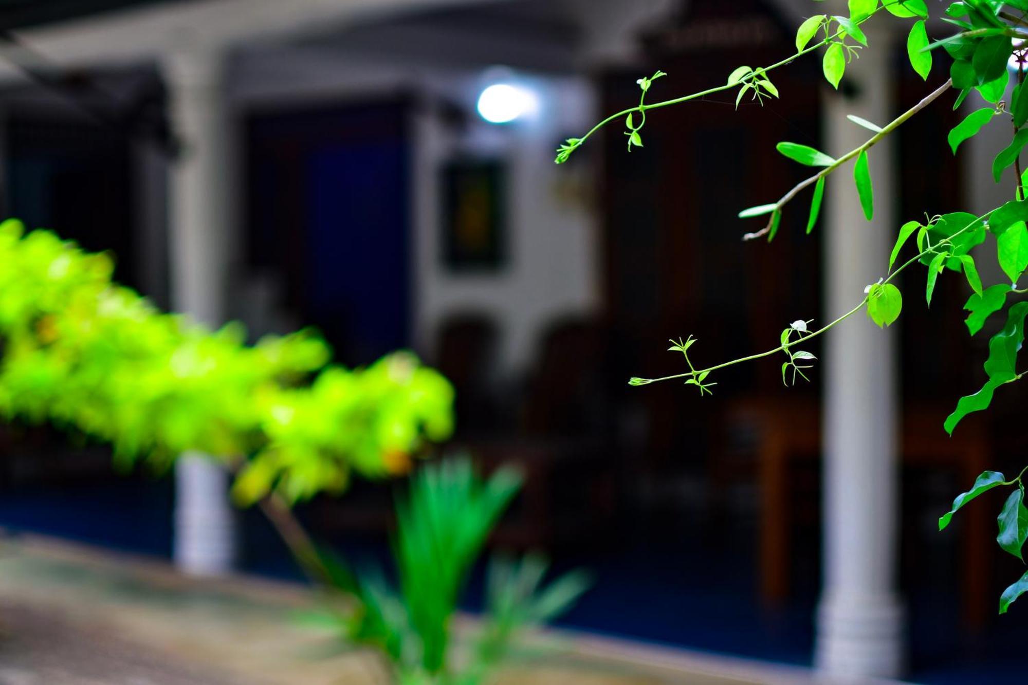 Tourist Holiday Inn ดัมบูลลา ภายนอก รูปภาพ